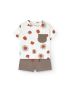 Conjunto Leões Estampados