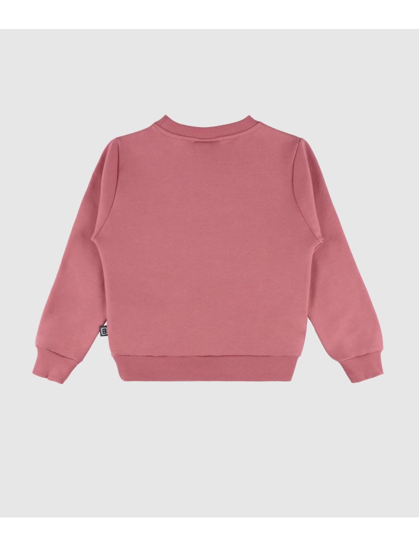 Sweatshirt Mysterious