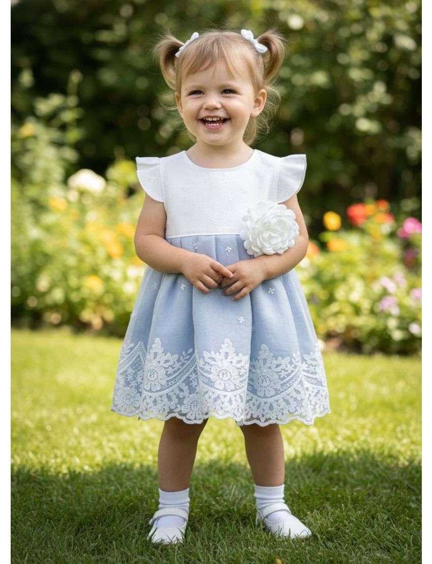 Lace Fabric Dress With a 